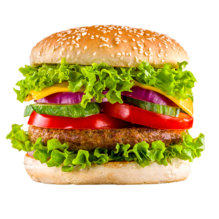 Hamburger picture